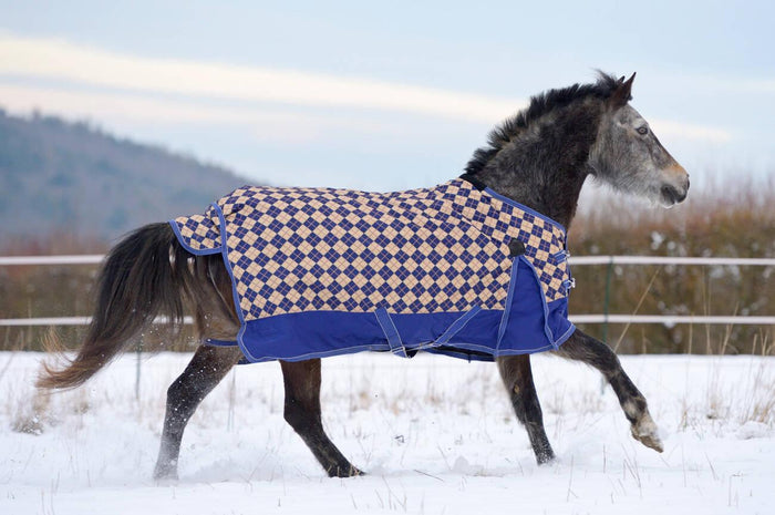 Why Lightweight Turnout Rugs Are Important for Equestrian