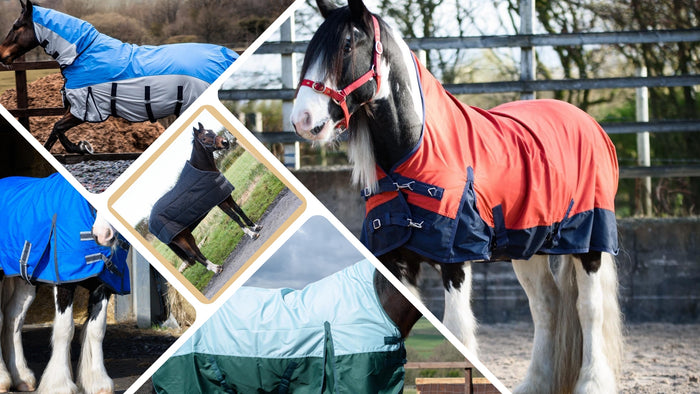 Which Turnout Rug Weight Does Your Horse Need for All Seasons?