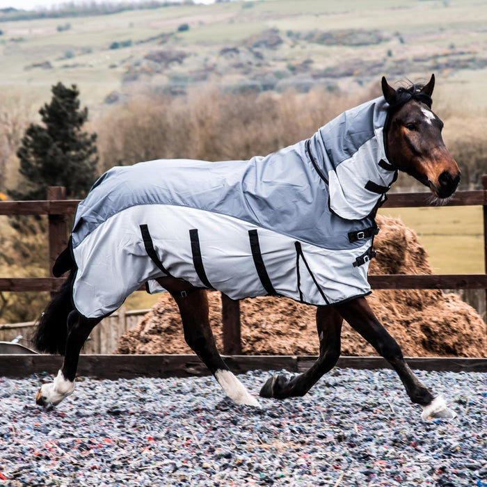 Can I Use a Fly Rug During Exercise, or Is It Just for Turnout?