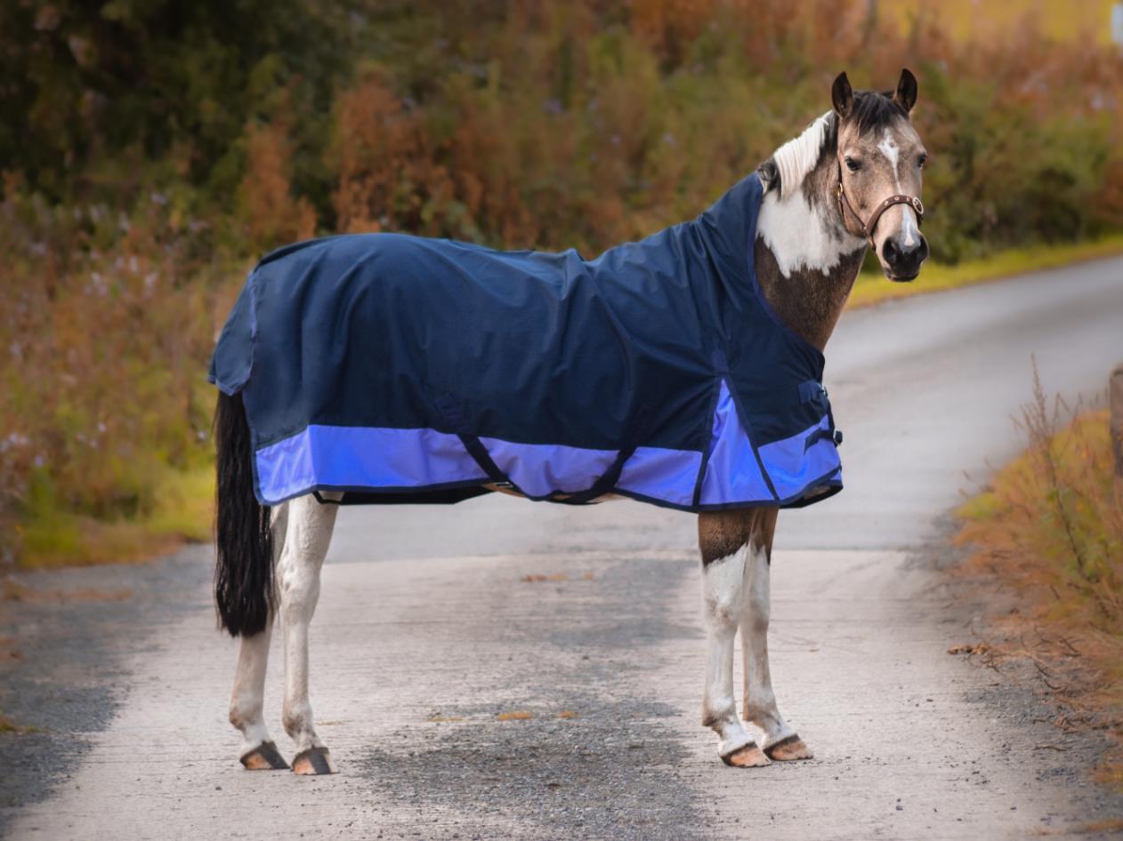Horse Rugs — eQuitack Health & Life Style