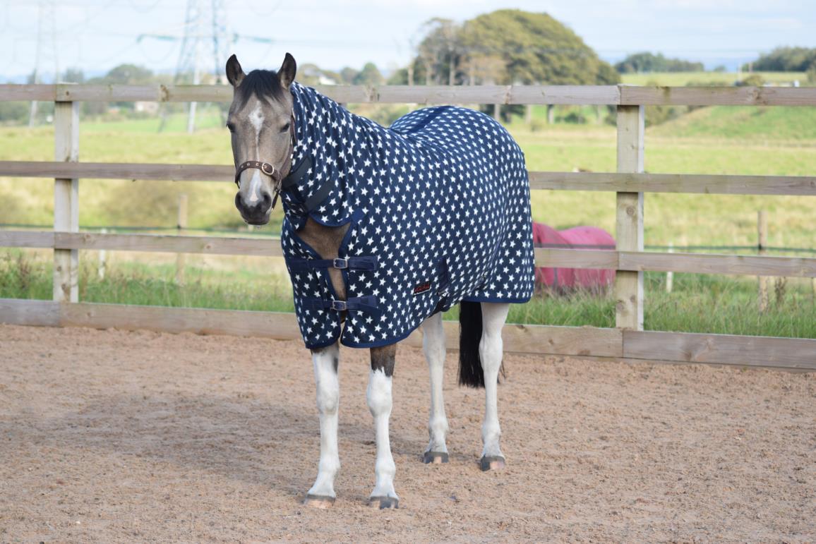 250gsm Fleece Breathable Cooler Moist Anti Sweat Fleece Rug Navy White 5'3 - 7'0