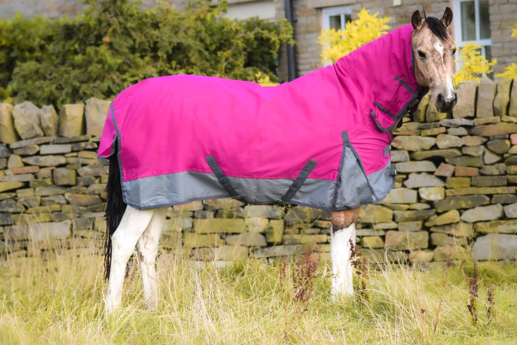 600D Outdoor Winter Turnout Horse Rugs 250G Fill Combo Neck Raspberry/Grey 5'3-6'9