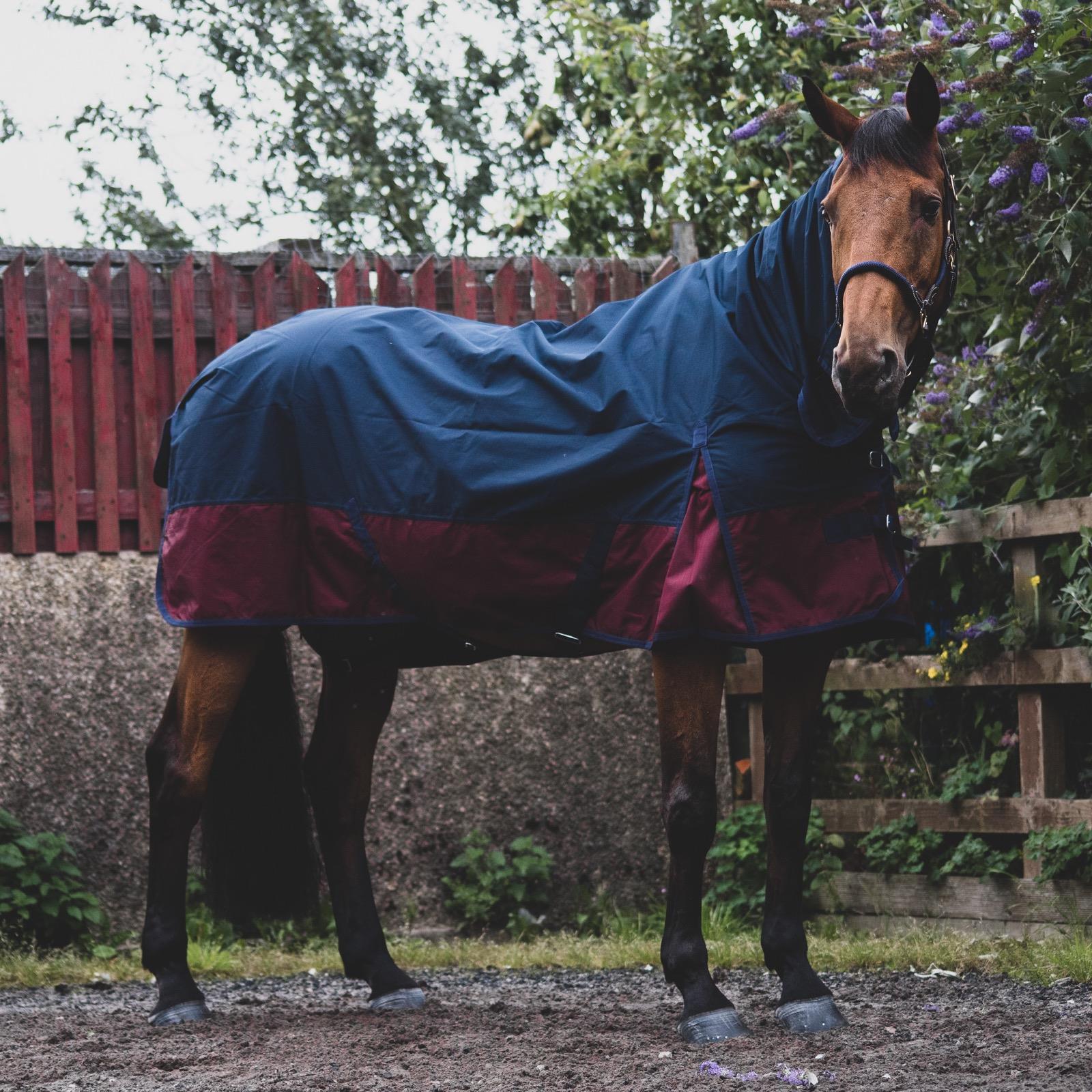 1200D Outdoor Winter Turnout Horse Rugs 50G Fill COMBO Full Neck Navy/Burgundy 5'3-6'9