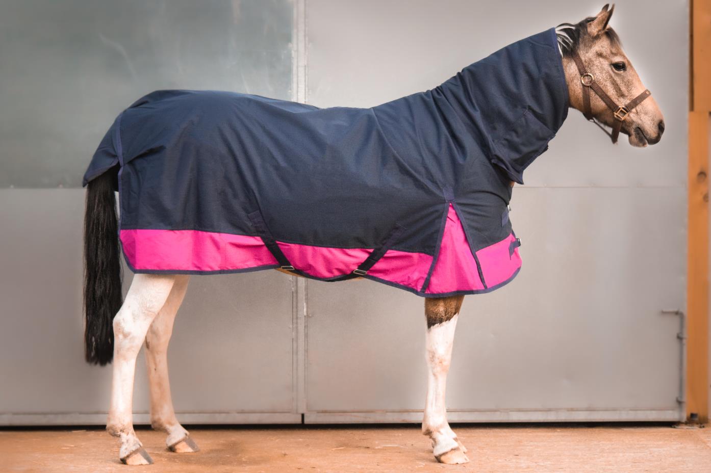 1200D Outdoor Winter Turnout Horse Rugs 50G Fill COMBO Neck Navy/Raspberry 5'3-6'9