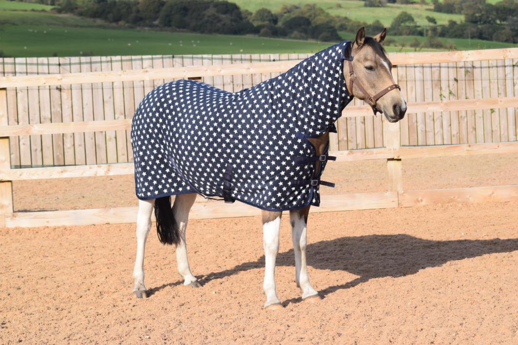 250gsm Fleece Breathable Cooler Moist Anti Sweat Fleece Rug Navy White 5'3 - 7'0