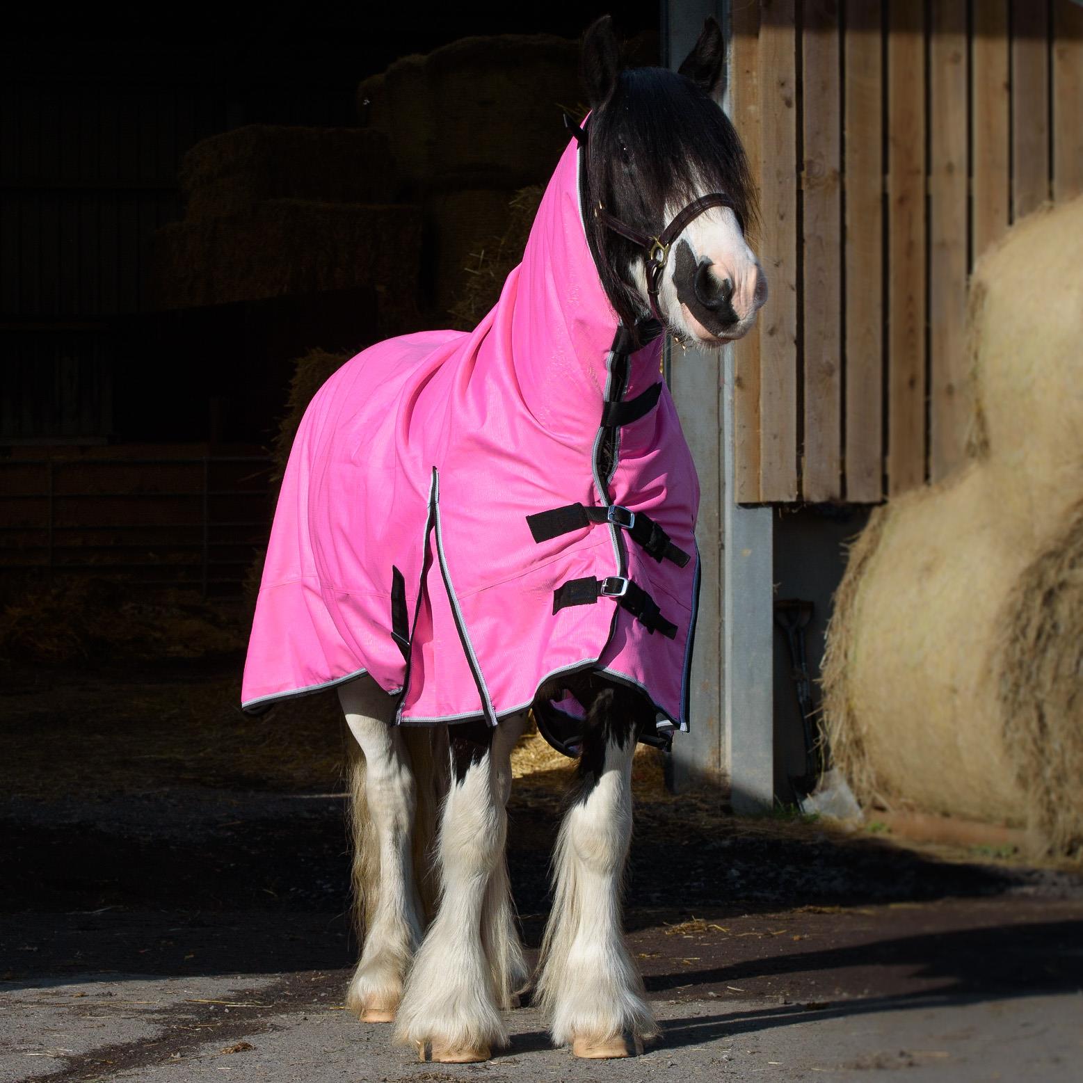 1200 Denier Lite Rain Horse Turnout Rug Waterproof Teflon Combo Neck Pink 5'3-6'9