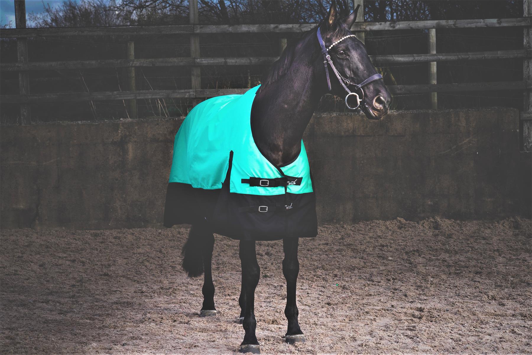 Lightweight Horse Turnout Rainsheet Waterproof 600D Ripstop Green/Black 5'6-6'9
