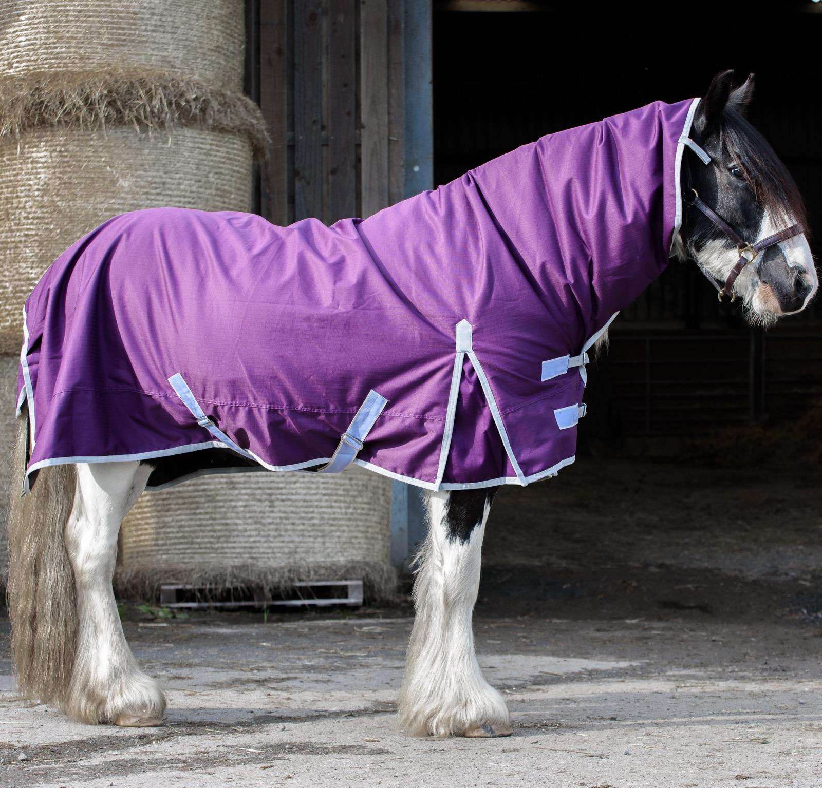 600D Outdoor Mediumweight Turnout 50G Fill COMBO Thermo Horse Rug Plum 5'6-6'9