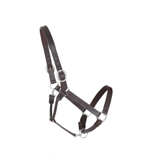 Padded Leather Headcollar Halters Adjustable Stable Black Brown Tan in 6 Sizes