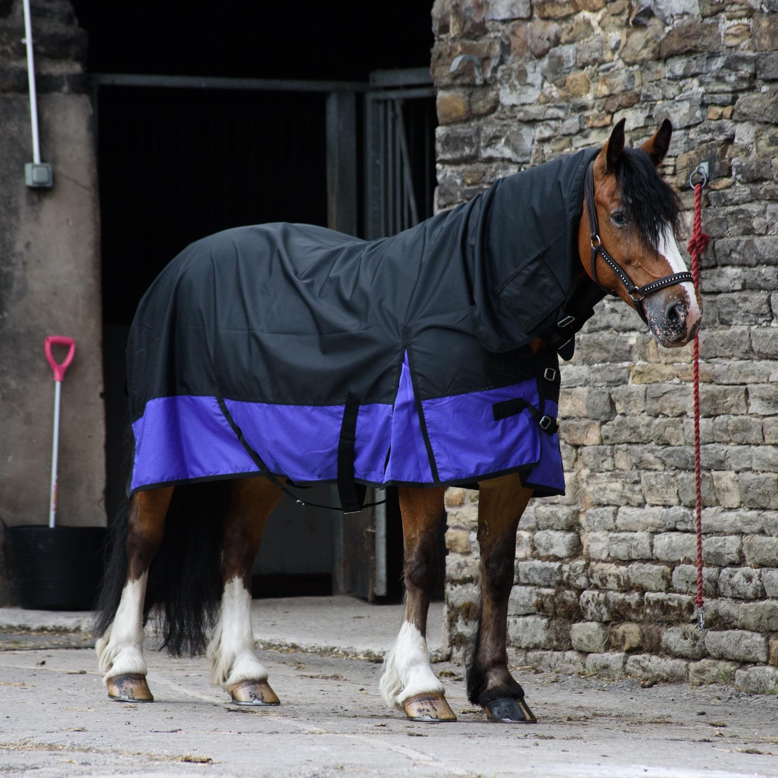 600D Outdoor Winter Turnout Horse Rugs 50G Fill COMBO Full Neck Black/Purple 5'3-6'9