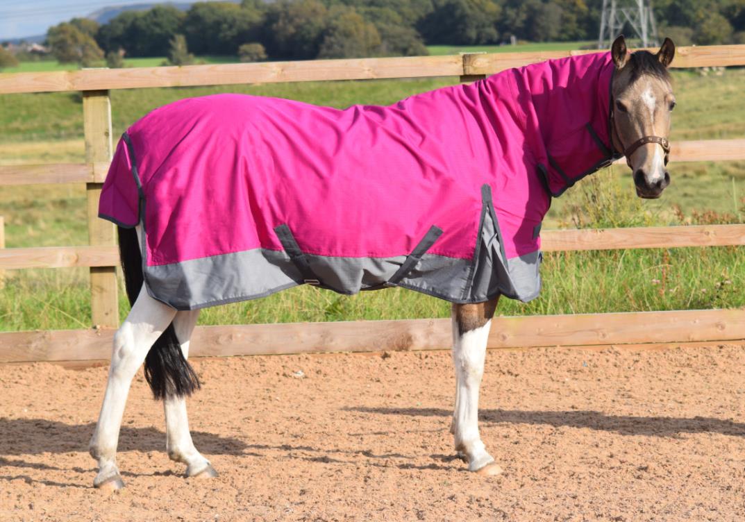 Winter Thermo 100g Turnout Horse Rugs Combo Full Neck Raspberry/Grey 5'3-6'9