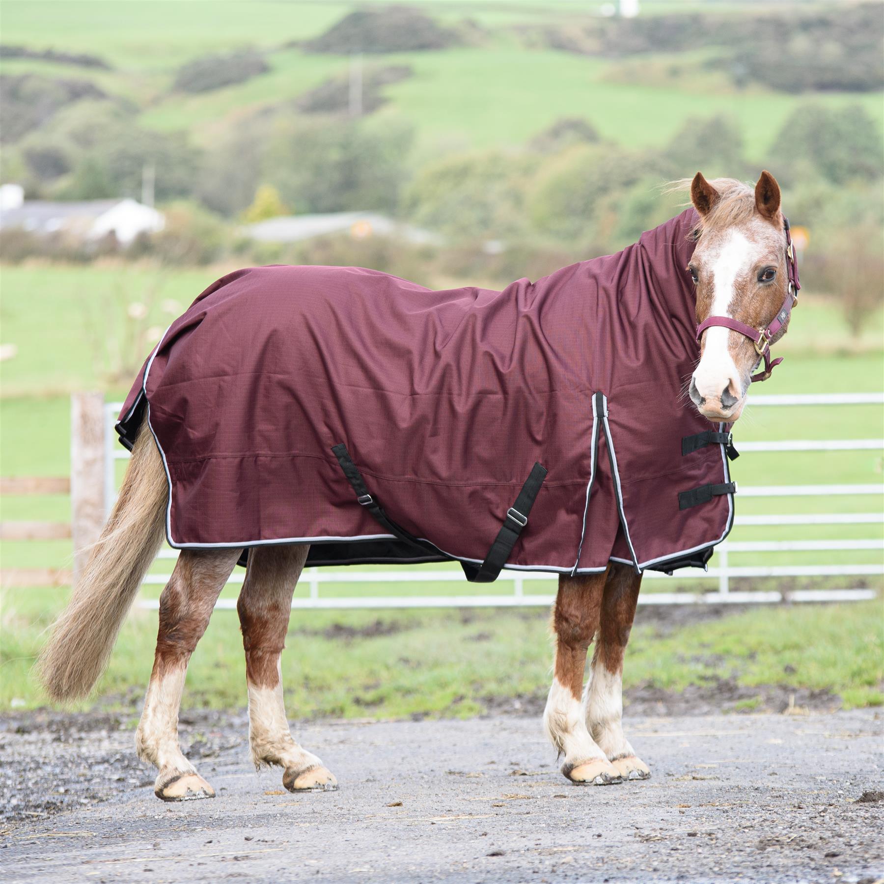1200D Outdoor Winter Turnout Horse Rugs 50G Fill Combo Neck Teflon Red 5'3-6'9