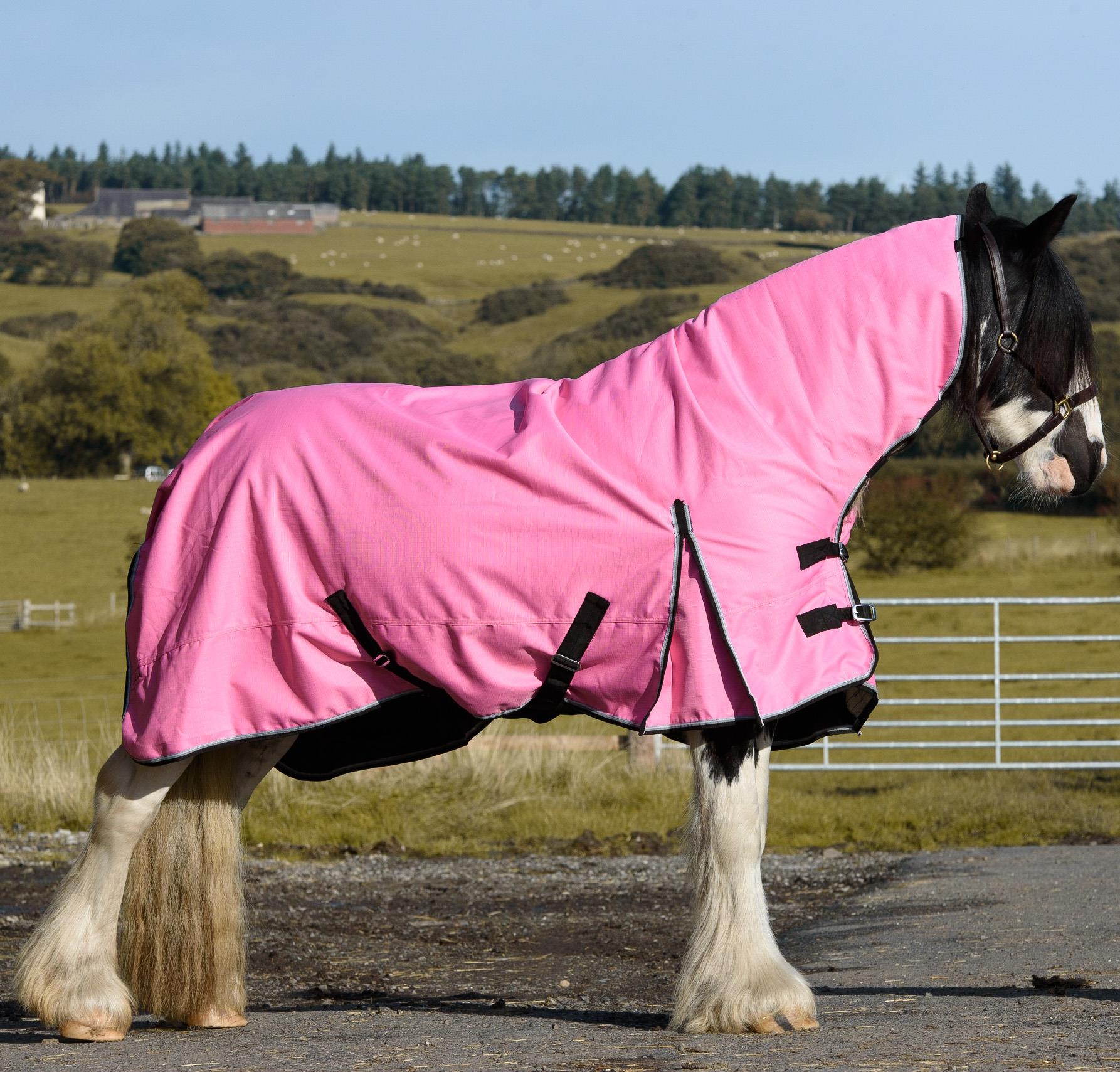 1200D Outdoor Winter Turnout Horse Rugs 50G Fill Combo Neck Teflon Pink 5'3-6'9