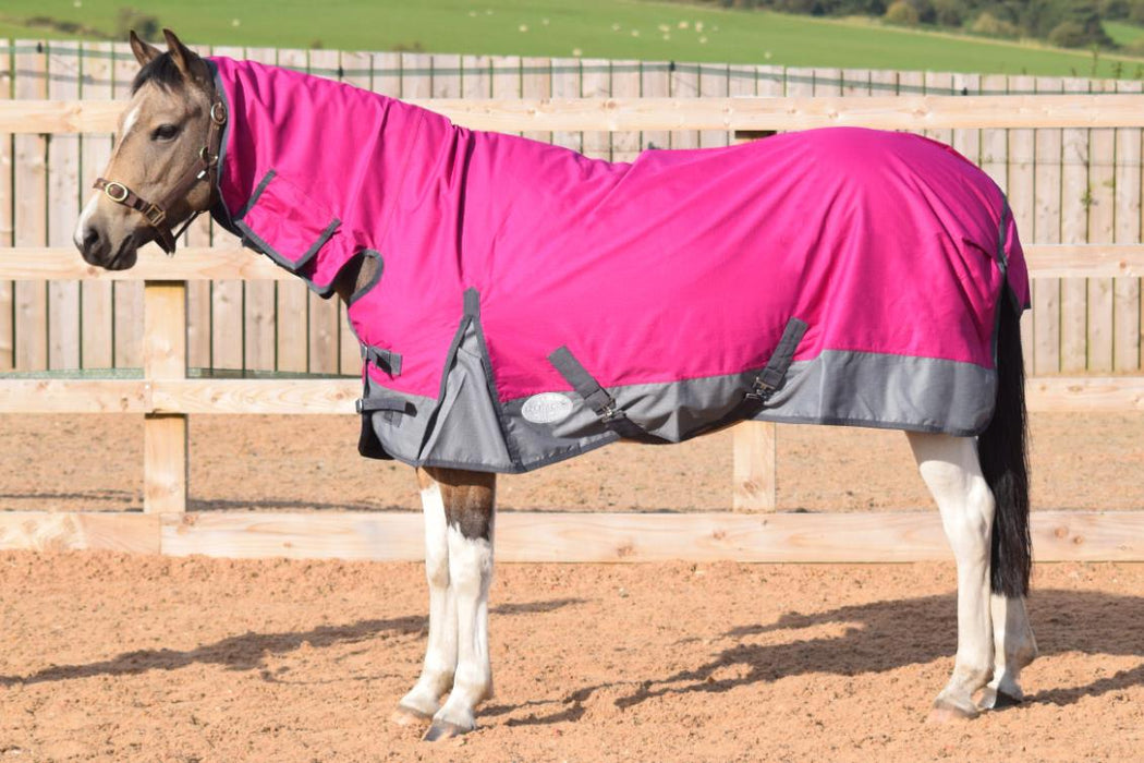 600D Outdoor Winter Turnout Horse Rugs 250G Fill Combo Neck Raspberry/Grey 5'3-6'9