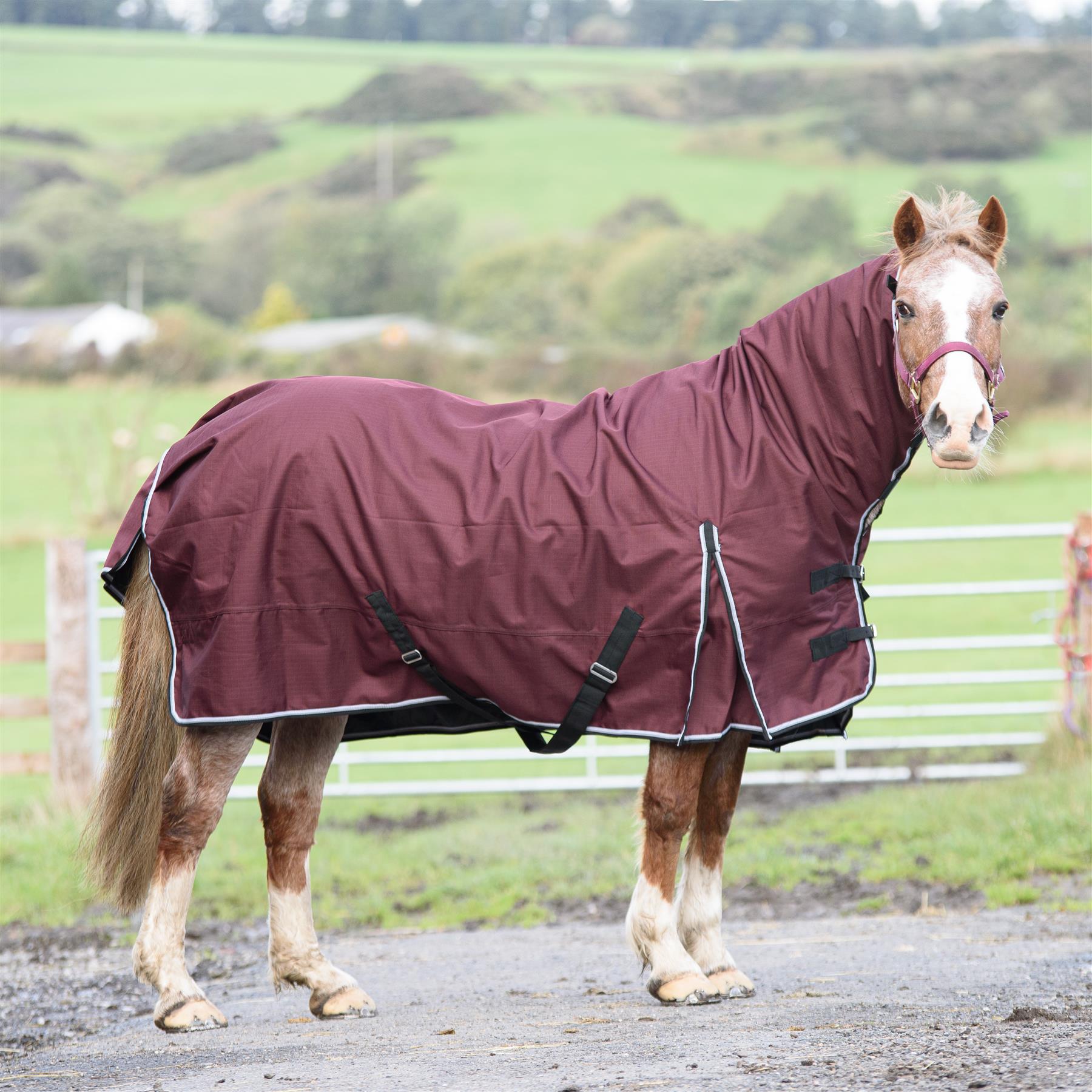 600D Outdoor Mediumweight Turnout 50G Fill COMBO Thermo Horse Rug Red 5'6-6'9