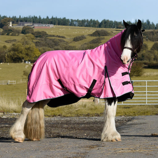 1200D Outdoor Winter Turnout Horse Rugs 100G Fill Combo Neck Teflon Pink 5'3-6'9