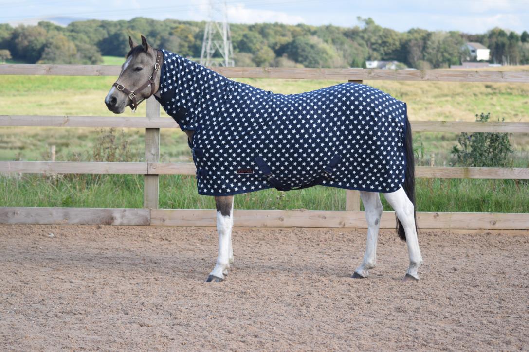 250gsm Fleece Breathable Cooler Moist Anti Sweat Fleece Rug Navy White 5'3 - 7'0