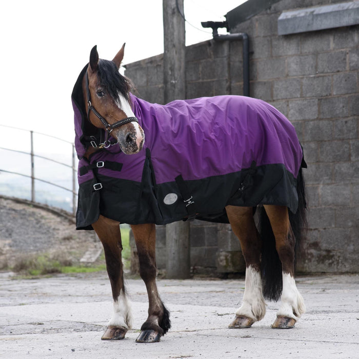 600D Outdoor Winter Turnout Horse Rugs 50G Fill COMBO Full Neck Purple/Black 5'3-6'9