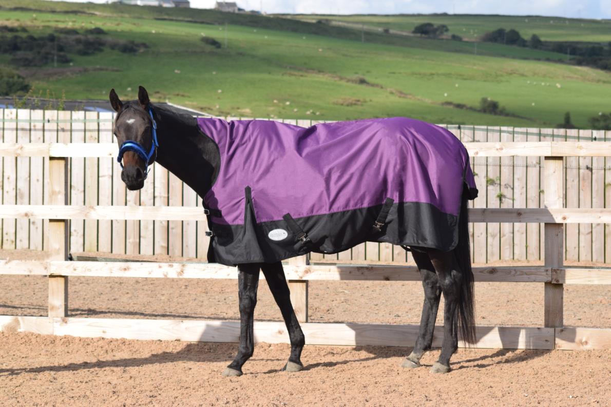 Lightweight Turnout Horse Rugs 600 Denier HALF Neck Teflon Purple/Black 5'3-6'9