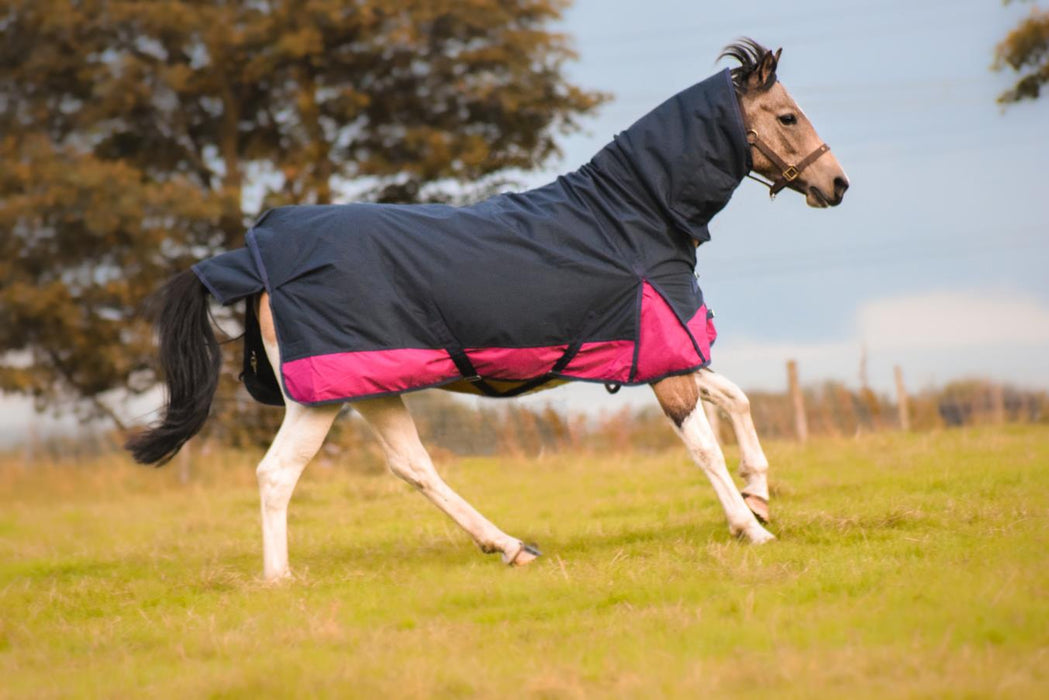 1200D Outdoor Winter Turnout Horse Rugs 50G Fill COMBO Neck Navy/Raspberry 5'3-6'9