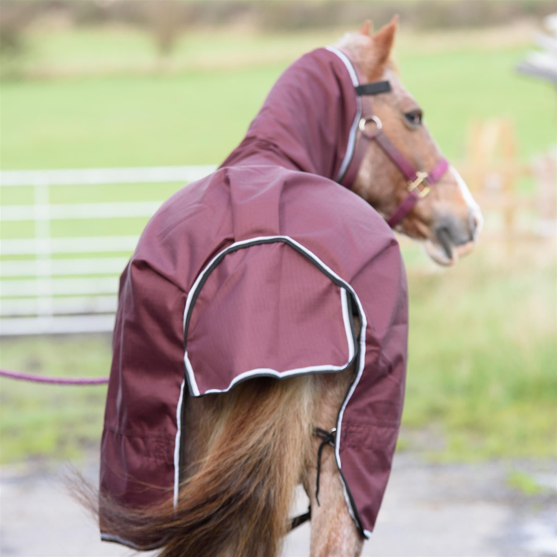 1200D Outdoor Winter Turnout Horse Rugs 100G Fill Combo Neck Teflon Red 5'3-6'9