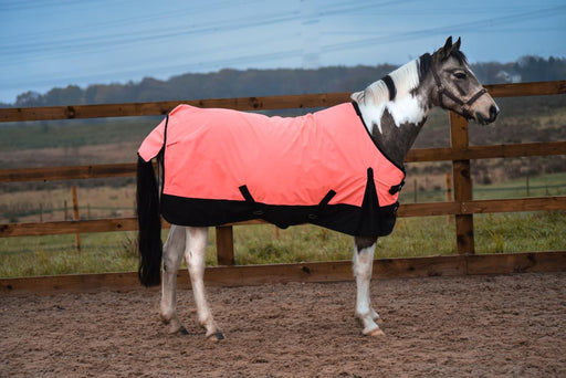 Lightweight Horse Turnout Rainsheet Waterproof 600D Ripstop Orange/Black 5'6-6'9